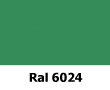 ral6024